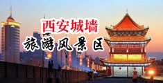日日日BBB中国陕西-西安城墙旅游风景区